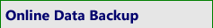 Online Data Backup Button